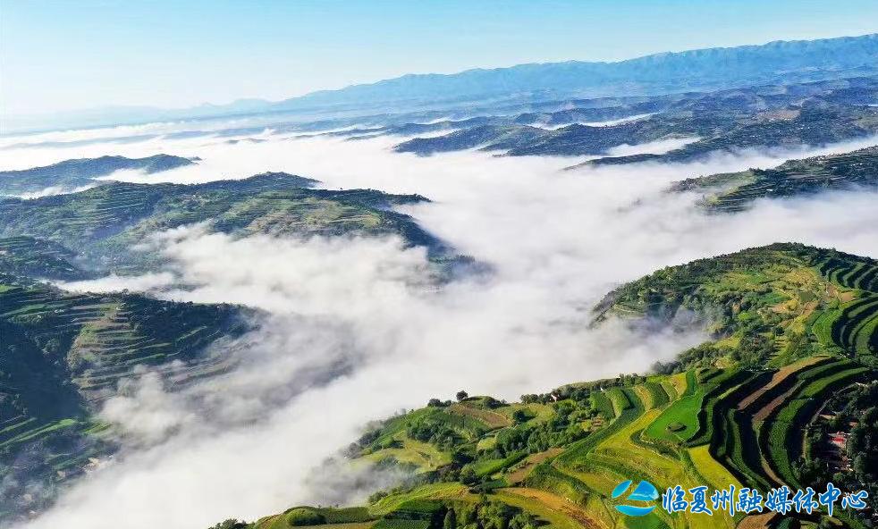 2024骞村宸磋兒閰嶈壊,缁胯壊鐨勫宸磋兒閰嶈壊