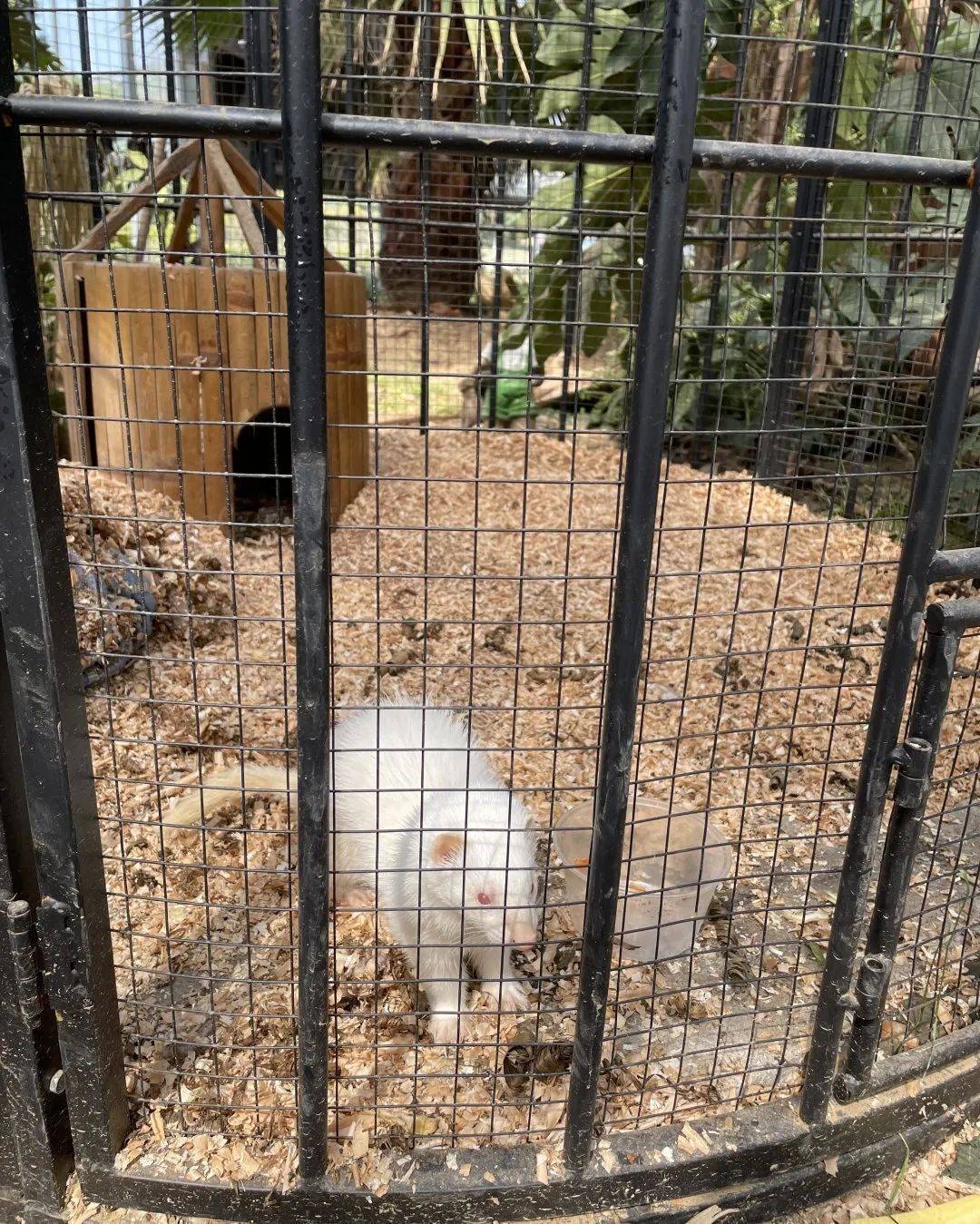 张家港农场网红打卡,周边农场网红打卡点创意