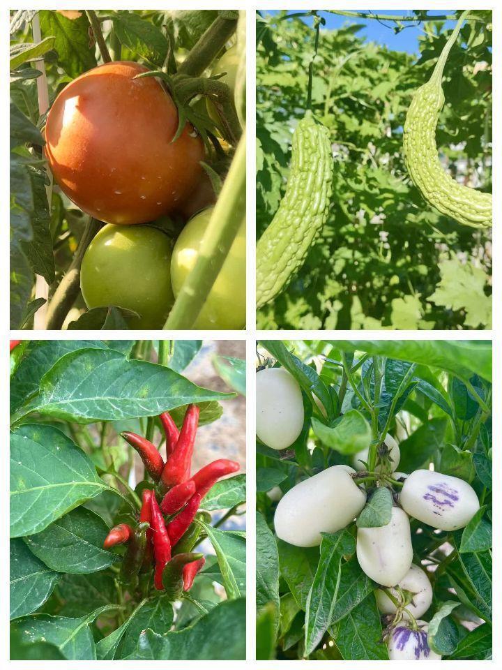 张掖市民乐县六坝寄宿制小学,民乐六坝寄宿制小学