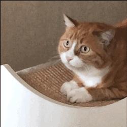 护肤品使用没效果就是这5个原因,为什么有的护肤品别人用没有效果