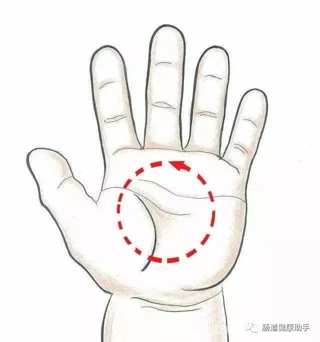 便秘不用愁舌象告诉你如何调理,便秘不吃药最快的一招通便