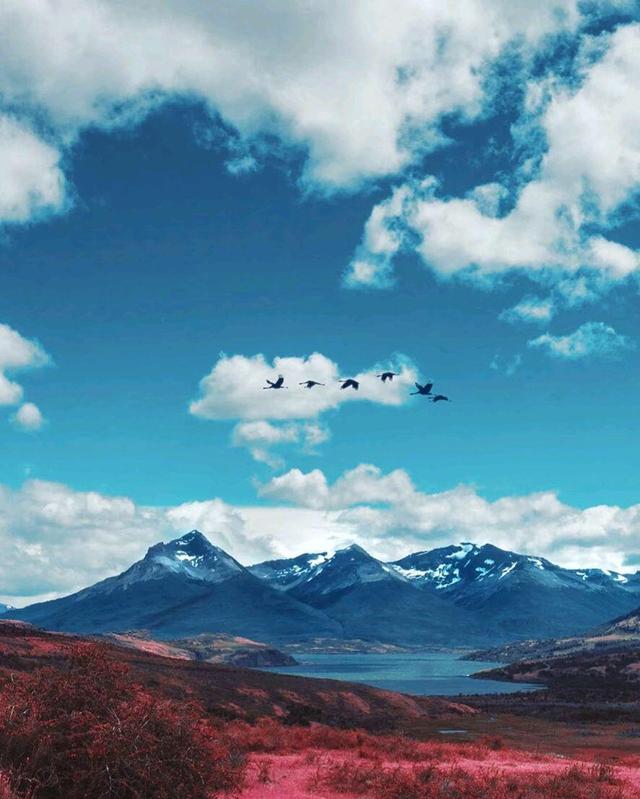 关于风景的诗词句子大全,诗句中描写山水风景最美的句子