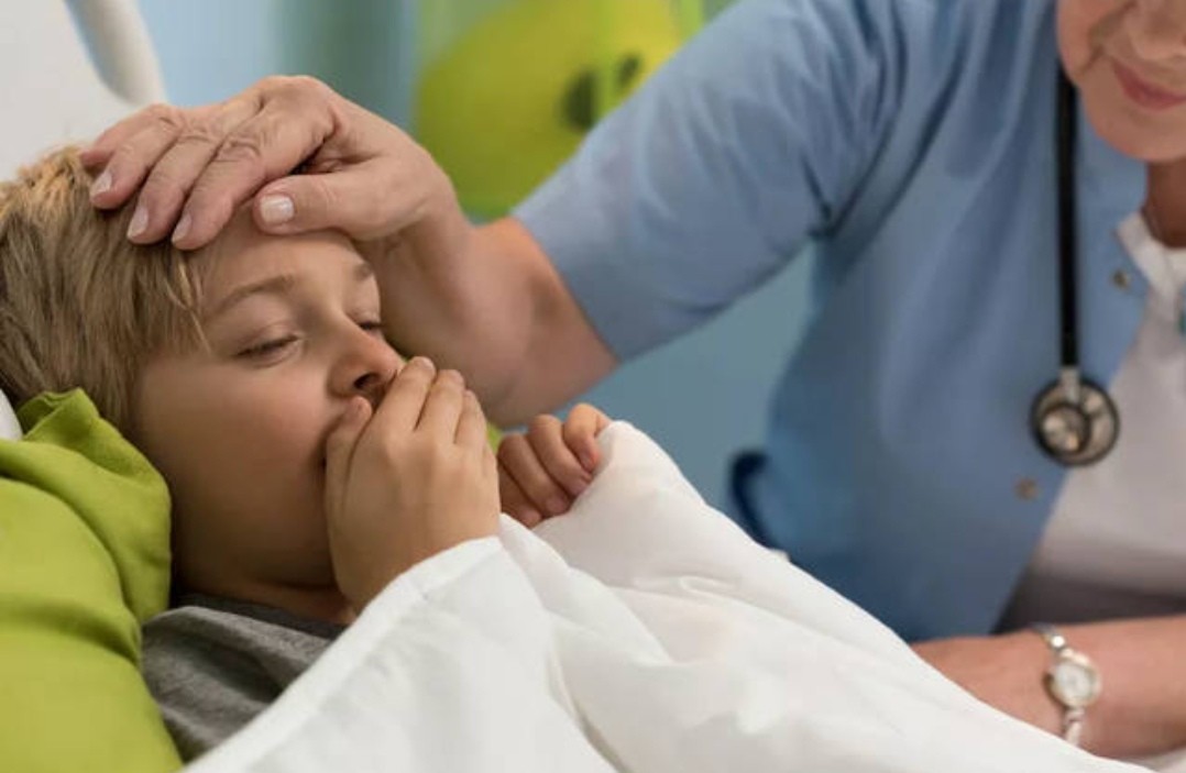 牛肉是致癌还是营养,牛肉含有营养价值吗