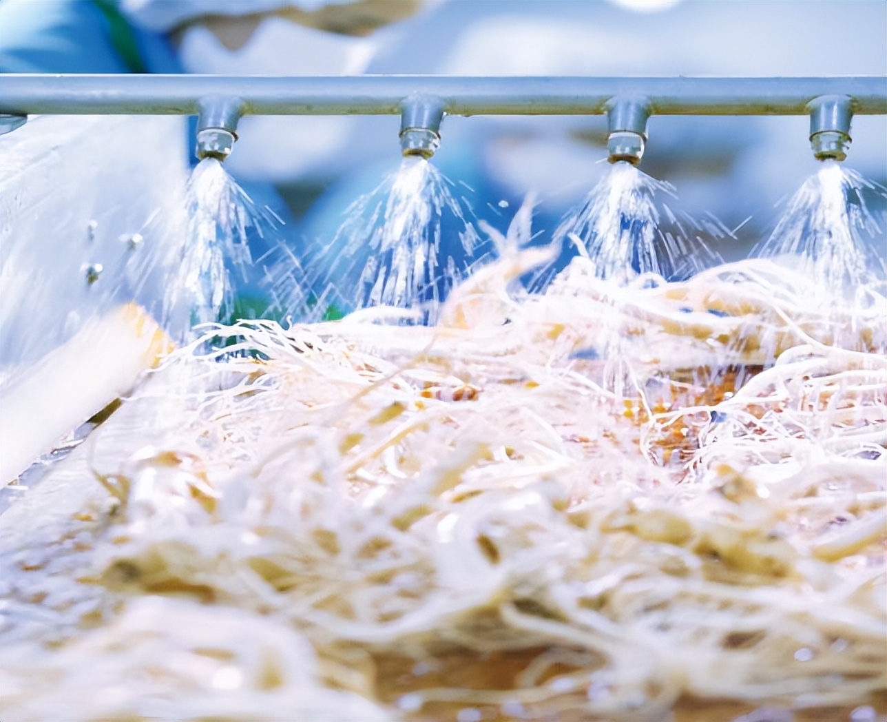 正官庄产品怎么样,正官庄红参哪一款性价比高