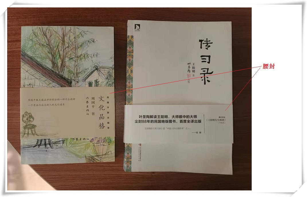 大珊老师：我们习以为常的“书”原来有这么多奥妙