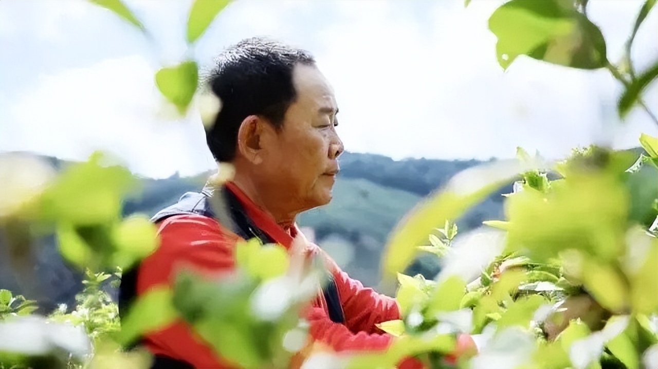 任怀灿的发家史,任怀灿云南