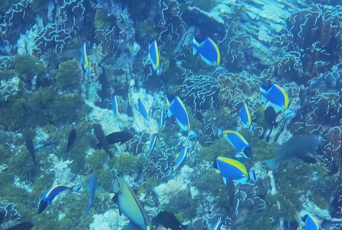 泰国小众海岛,泰国冷门又便宜的海岛