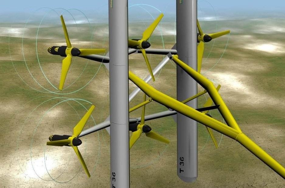 大海为什么退潮以后会有海鲜,大海为什么会涨潮退潮