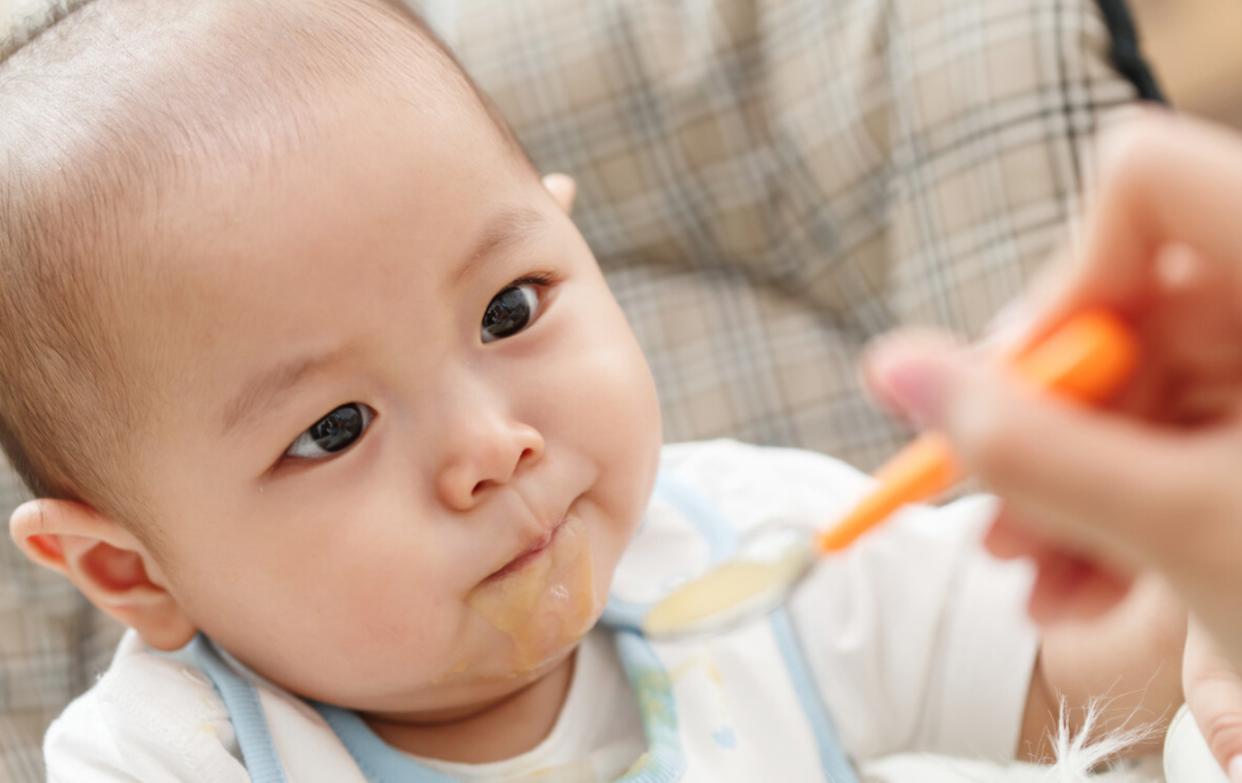 宝宝几个月添加辅食比较合适,宝宝从几个月开始添加辅食合适