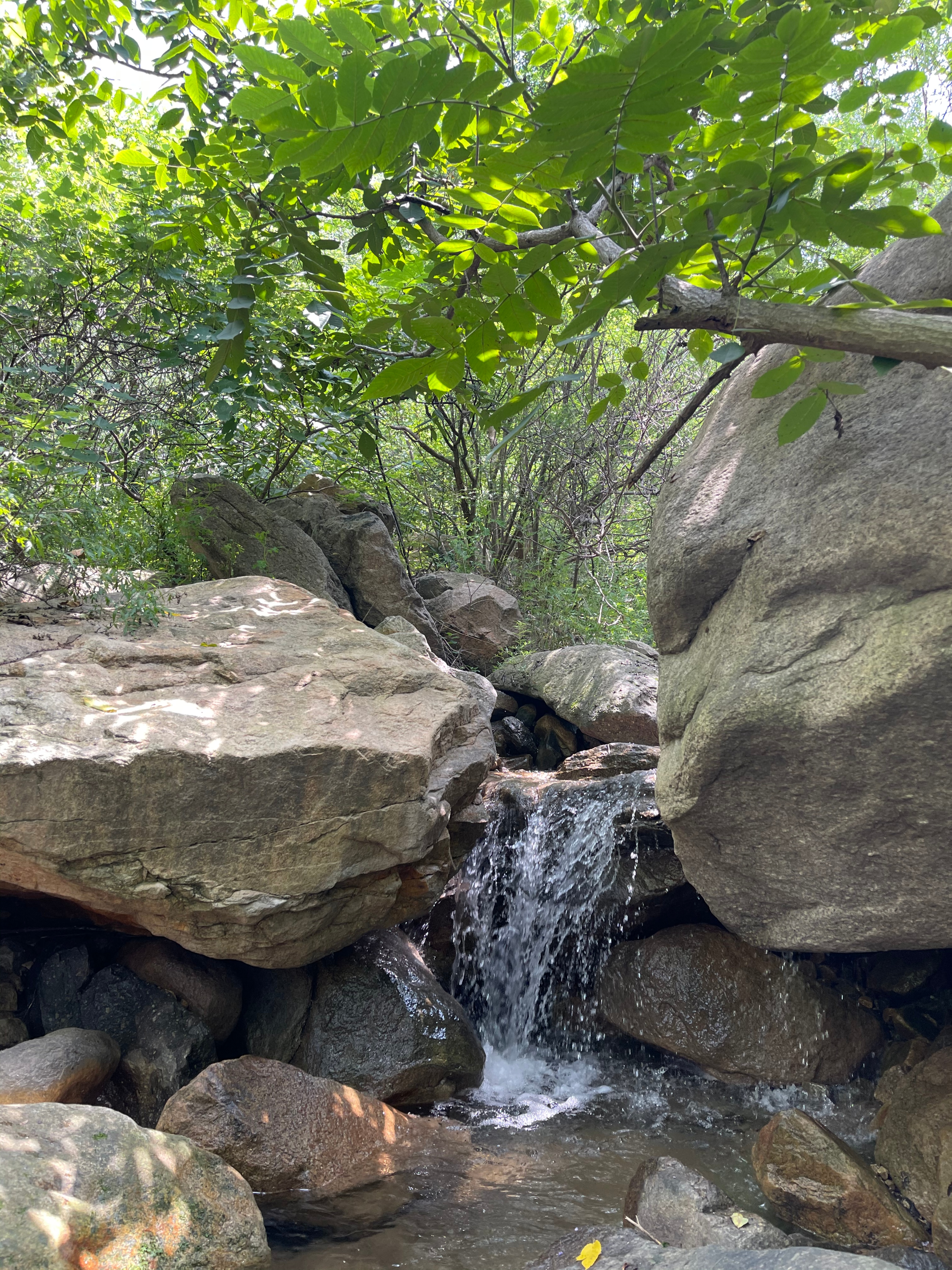 天津春天亲子徒步旅游路线推荐,天津户外徒步一日游推荐