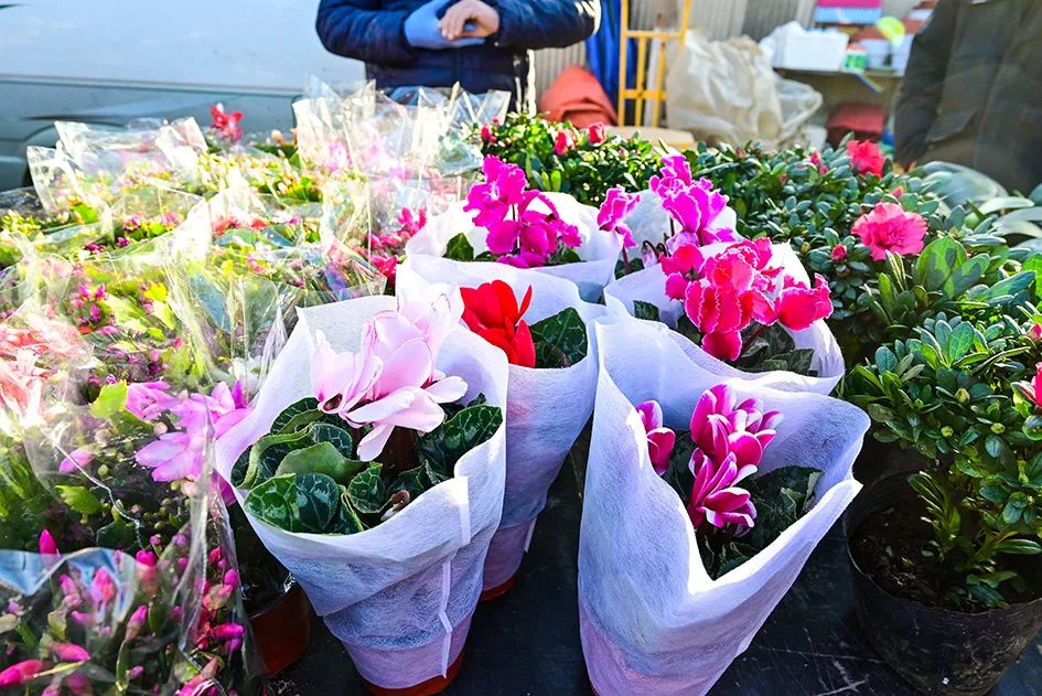 西山脚下的早市,闲逛最具人间烟火气的早市