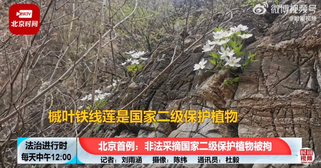 派出所治理电信诈骗亮点及措施,民警及时劝阻一起电信诈骗新闻稿