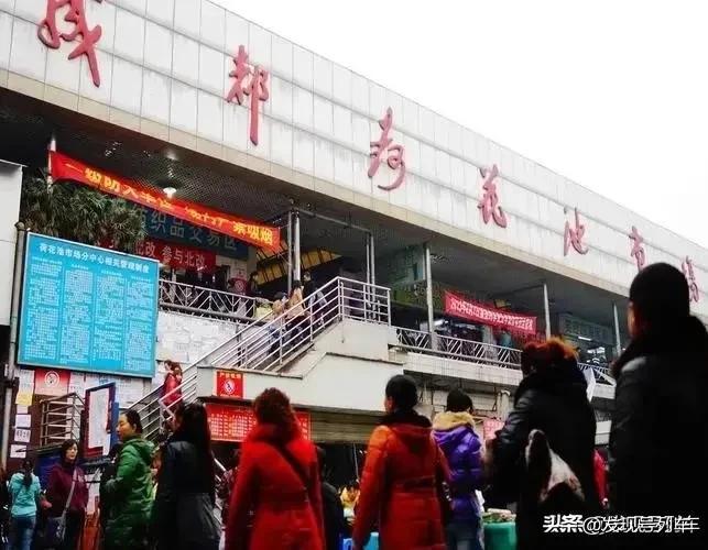 赞美现在的成都荷花池批发市场,当下成都荷花池市场