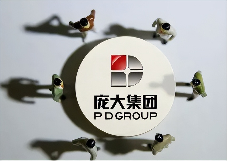 庞大集团唐山事件,庞大集团和民族数科