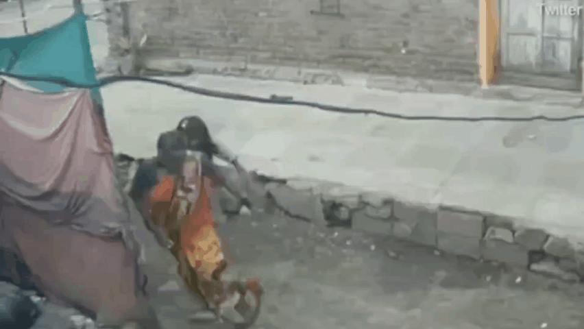 印度发生狗猴子大战,猴子被藏獒暴打