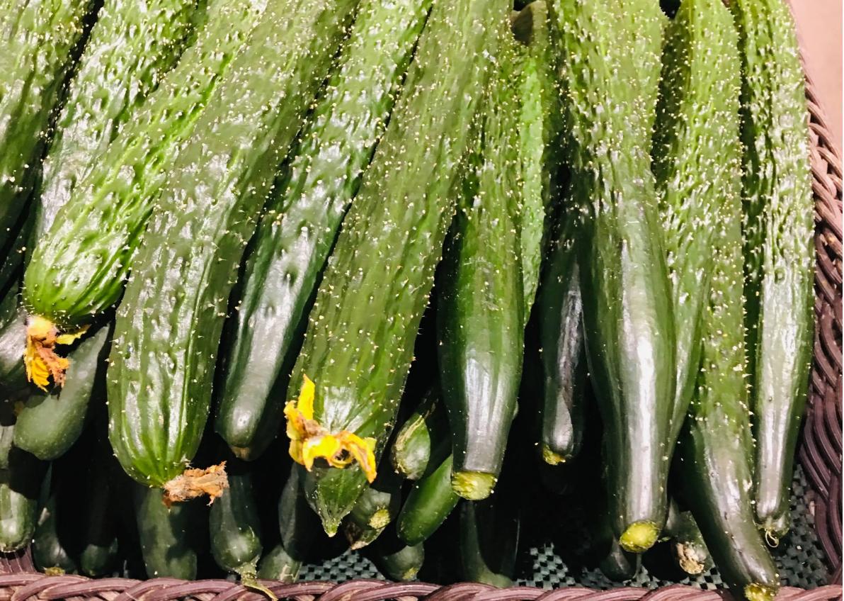 端午节讲究哪五红,端午节五红五黄指的是什么