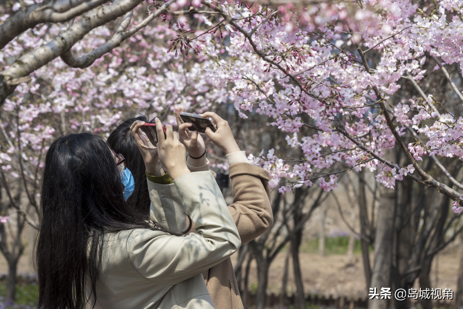 美丽的海滨城市青岛胶州,青岛胶州市美景