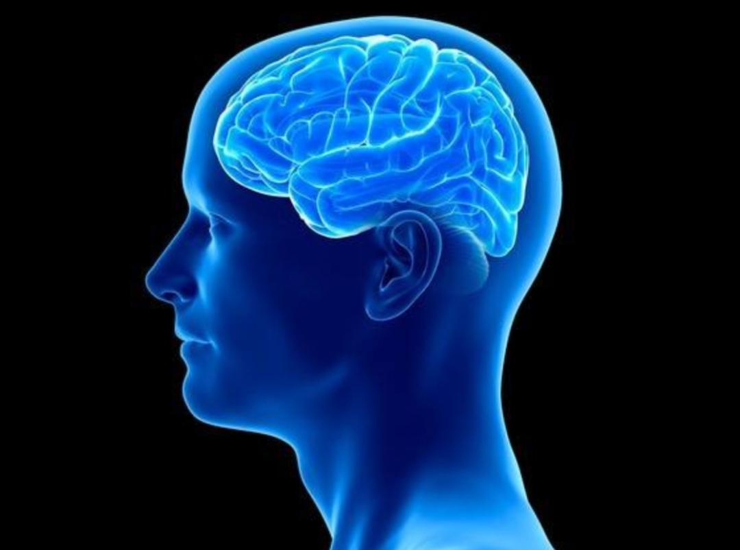 人类的大脑到底有多强大,人类的大脑是多少g的内存