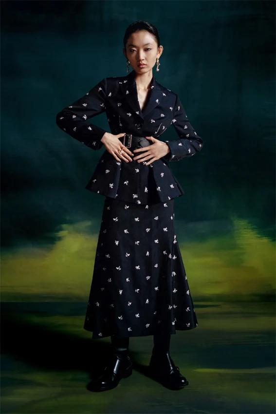 威尔士王妃纪录片,威尔士王妃向国王行礼