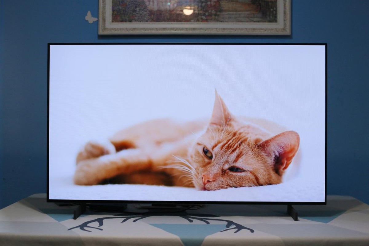 lgoledc165寸电视静态评测,lgc3和c2电视评测