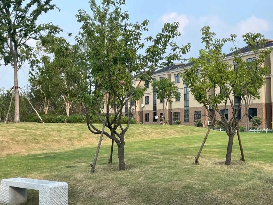 痛心的购房经历,嘉兴买房后悔的真实感受