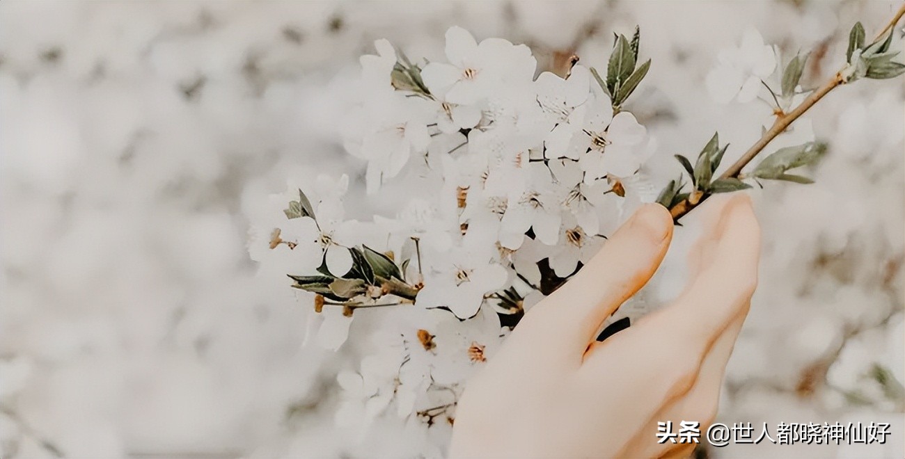 笑过后深思,笑过之后你懂得了什么