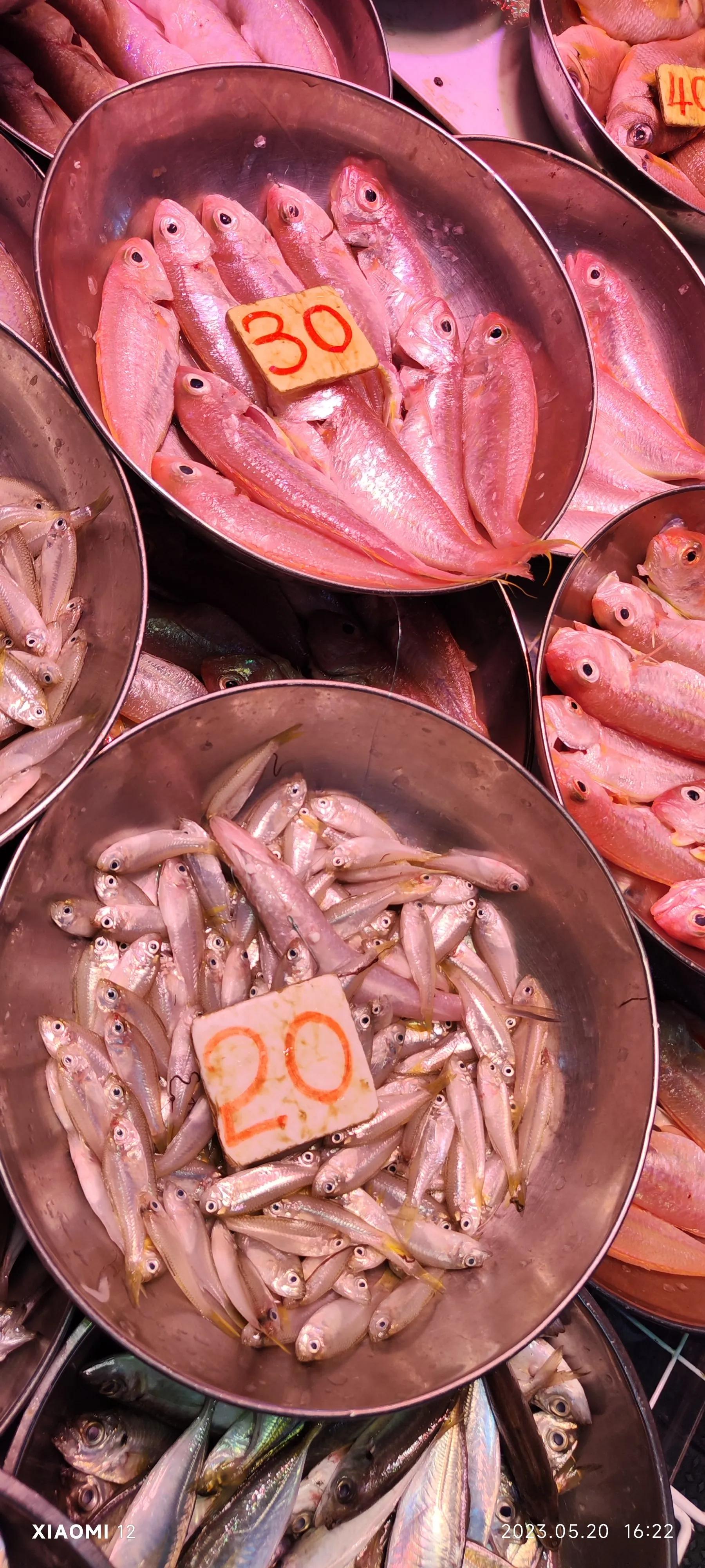 香港大围自由行，重点关注了药品、肉菜以及免税店里香烟的行情