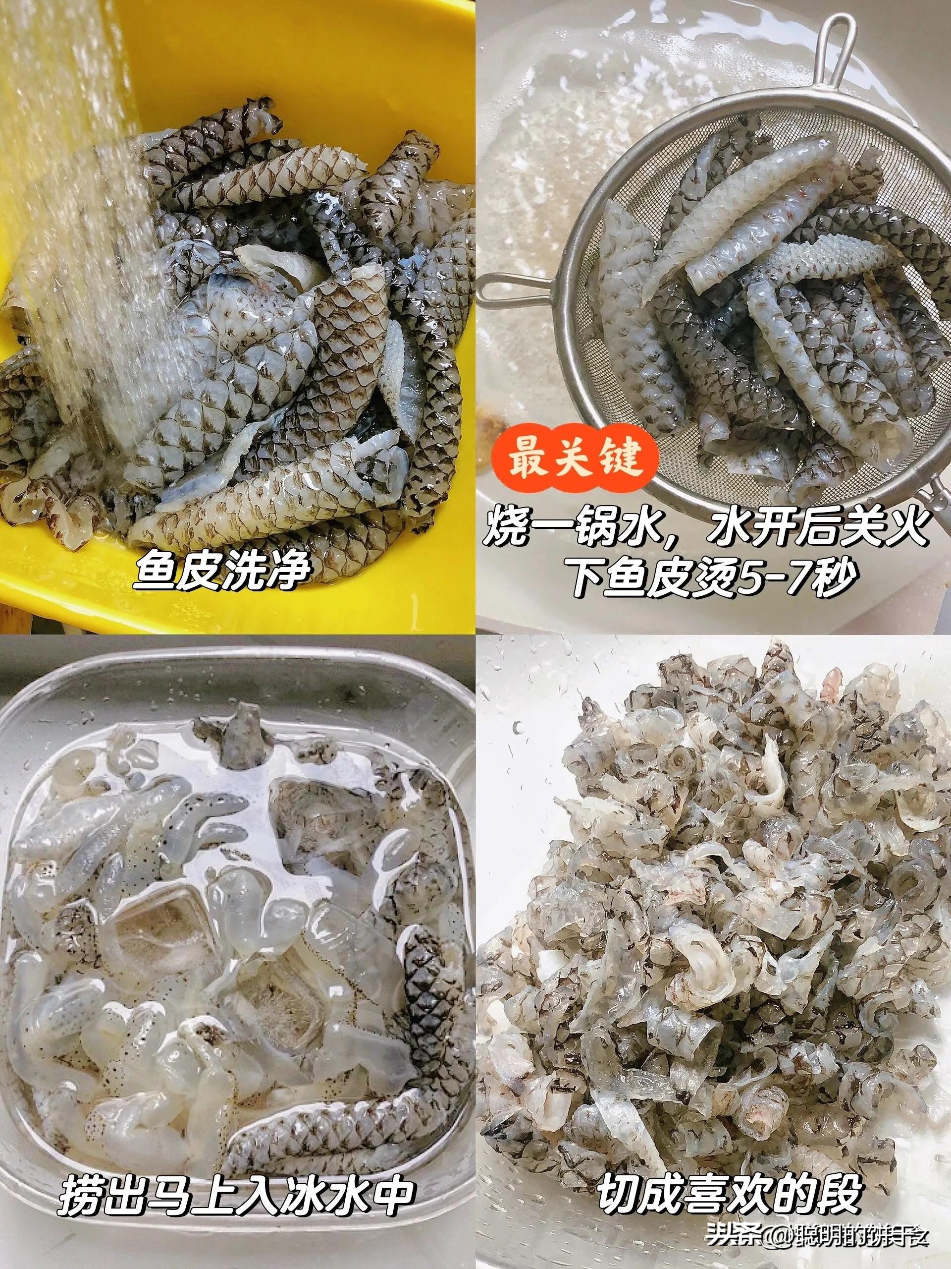这十种食物富含优质蛋白,如何通过日常饮食补充胶原蛋白