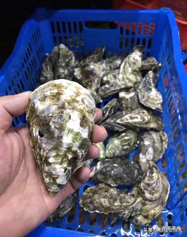 世界十大顶级海鲜食材有哪些品种,海鲜贝类品种大全及名字