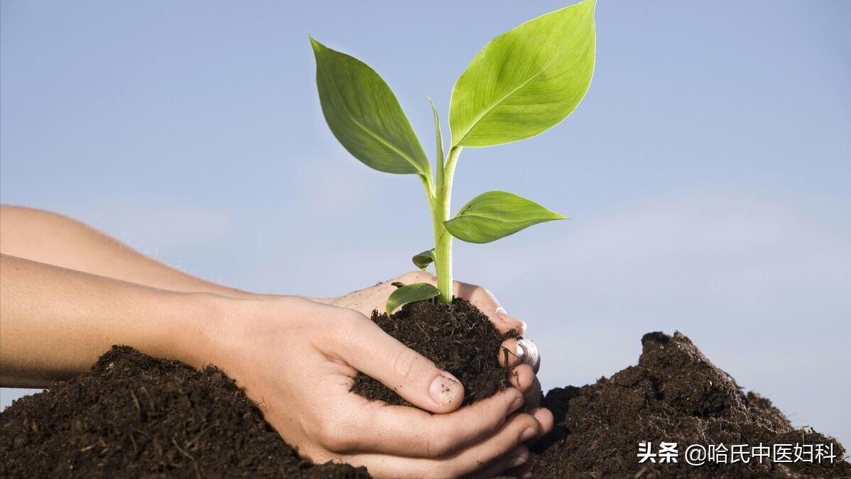 30卵巢早衰生不出孩子怎么办,我33岁了害怕怀不了孕