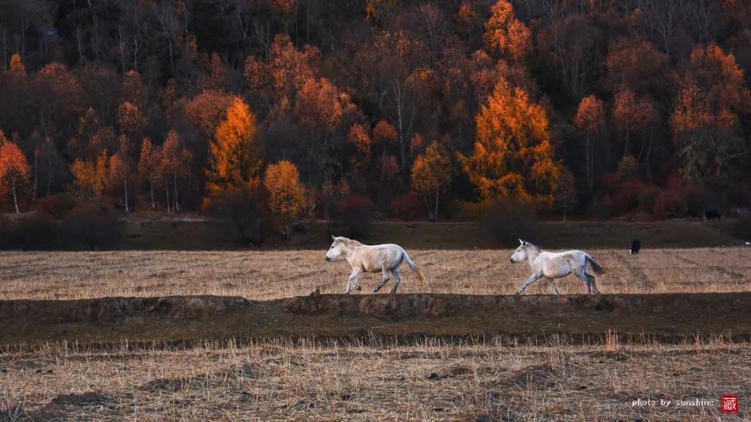 西北十大旅行攻略,西藏自驾游一日游攻略