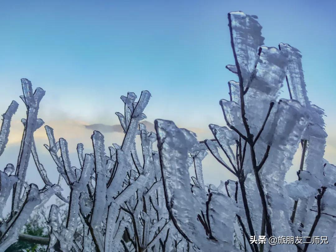 清远金子山旅游攻略看雾凇,广东金子山雪景旅游攻略