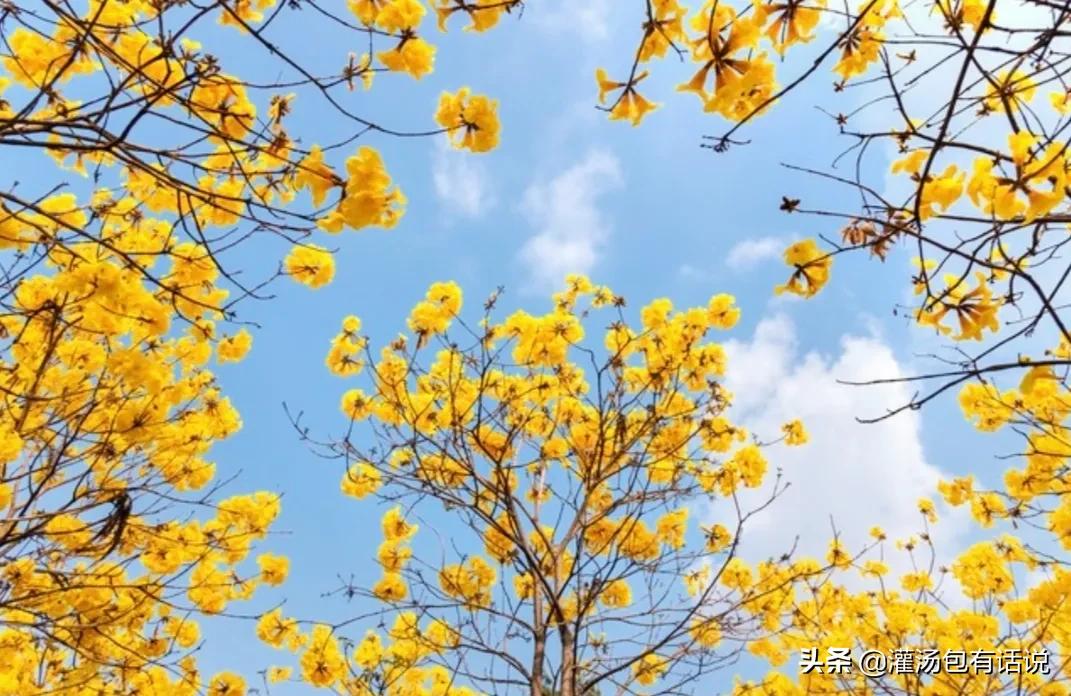 抠门的100种方法,23个抠门小妙招打造低成本生活