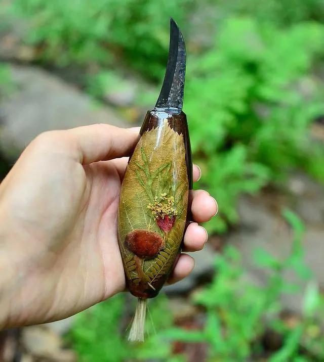 带你认识更多户外刀具,采蘑菇专用刀