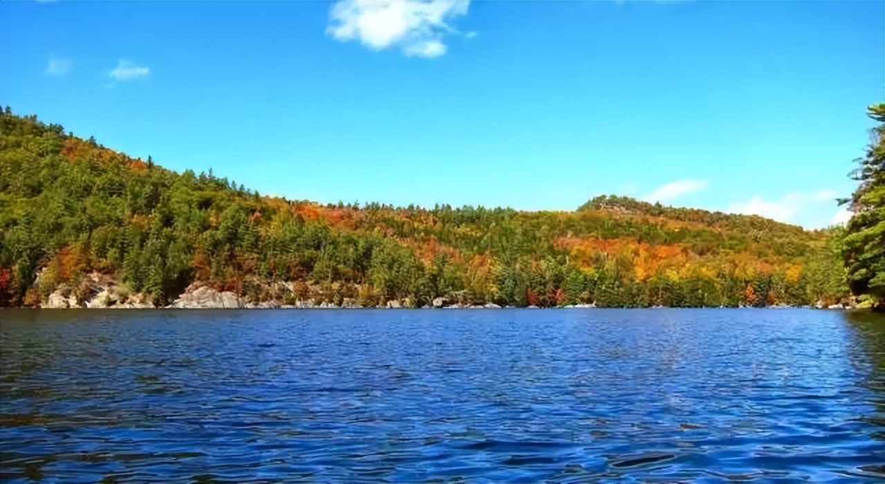 马云如果不卸任会怎样,马云卸任后的目标