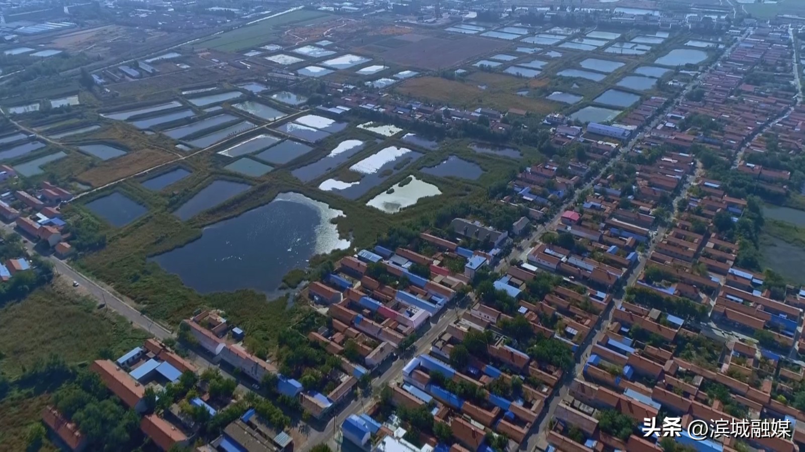 乡村振兴党建引领新做法人民日报,乡村振兴党建引领