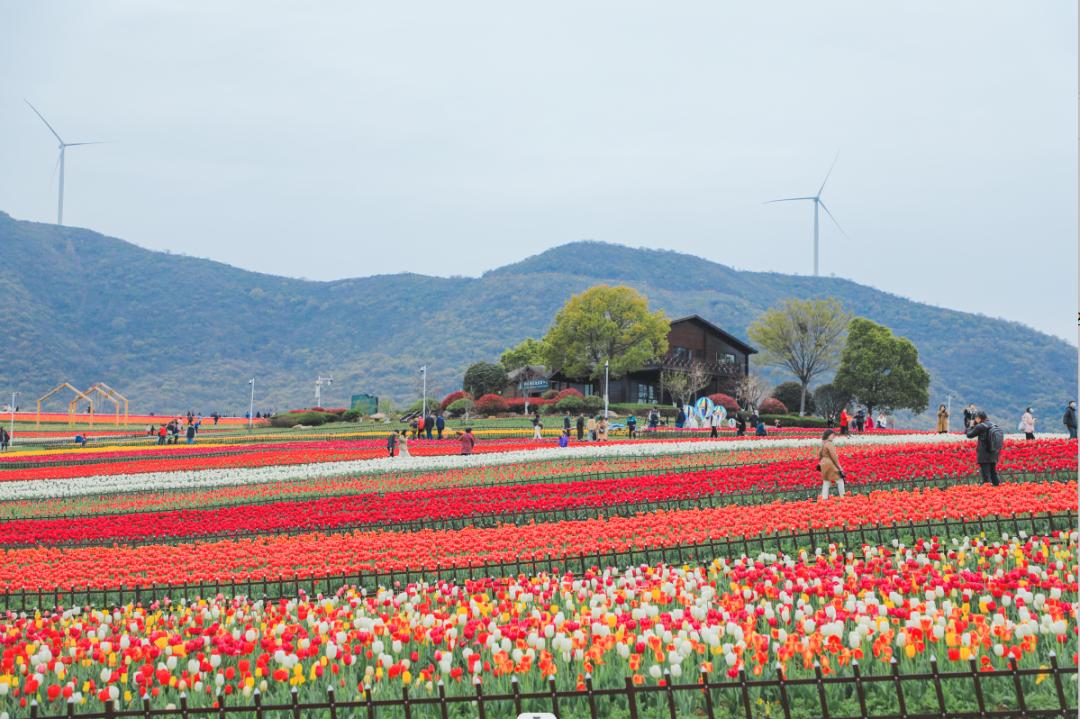 合肥旅行推荐平价旅游线路,合肥旅游线路