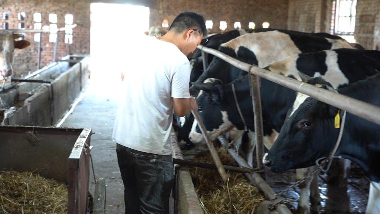 3870万元！645人！创业免息*款贷**成为沁阳发展“助力器”