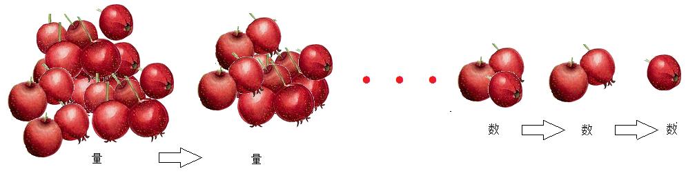 中国数字的起源简介,数字的演变发展史