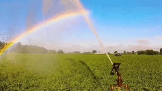 来乌海!给你画一道彩虹……