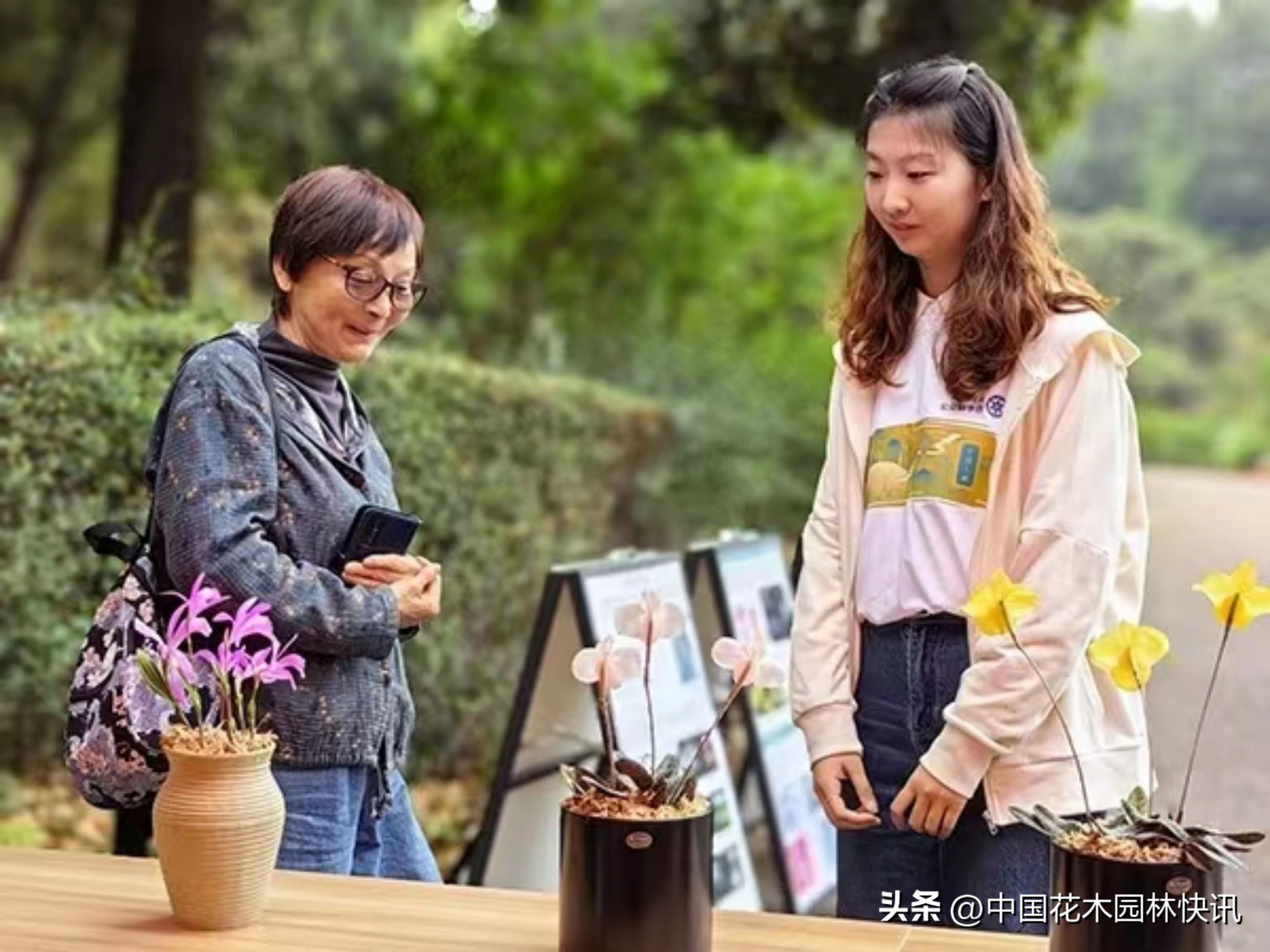 昆明植物研究所直播,云南省昆明市植物研究所