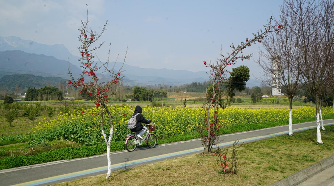 又见花开都江堰完整版,又见花开都江堰