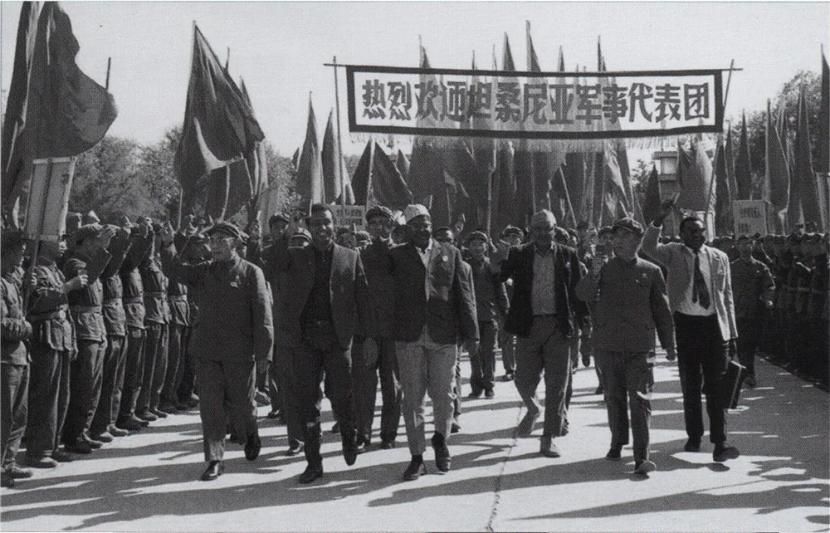 埃及购买歼31,埃及购买中国歼十战斗机了吗