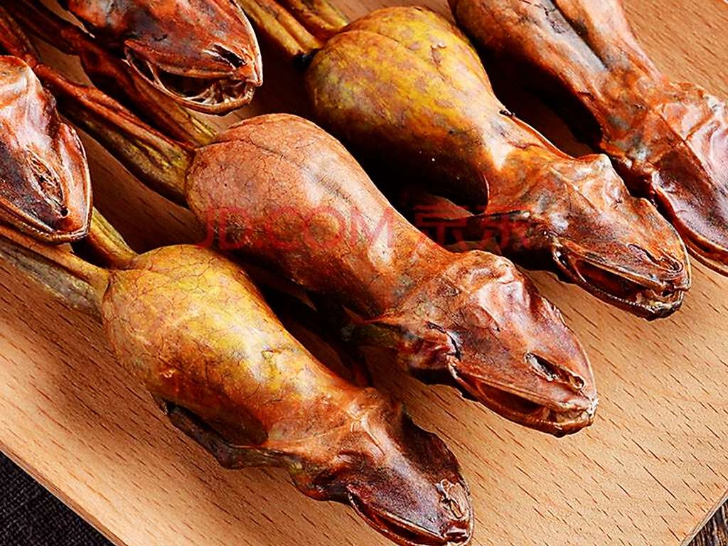 插队时的记忆：五十多年前三道湾抓蛤蟆