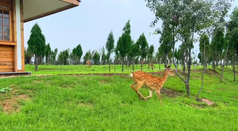 郑州夏天避暑游玩好地方,郑州夏天避暑游玩好去处