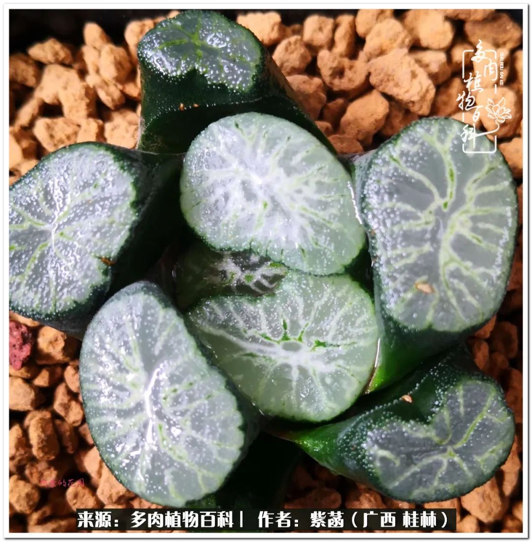 酷暑里的关爱，如十二卷般透亮绵长