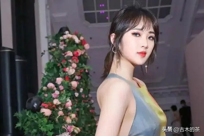 华为二公主姚安娜别墅,华为公主姚安娜现状