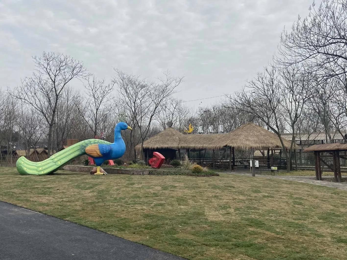 扬州凤凰岛的樱花路,扬州凤凰岛湿地公园