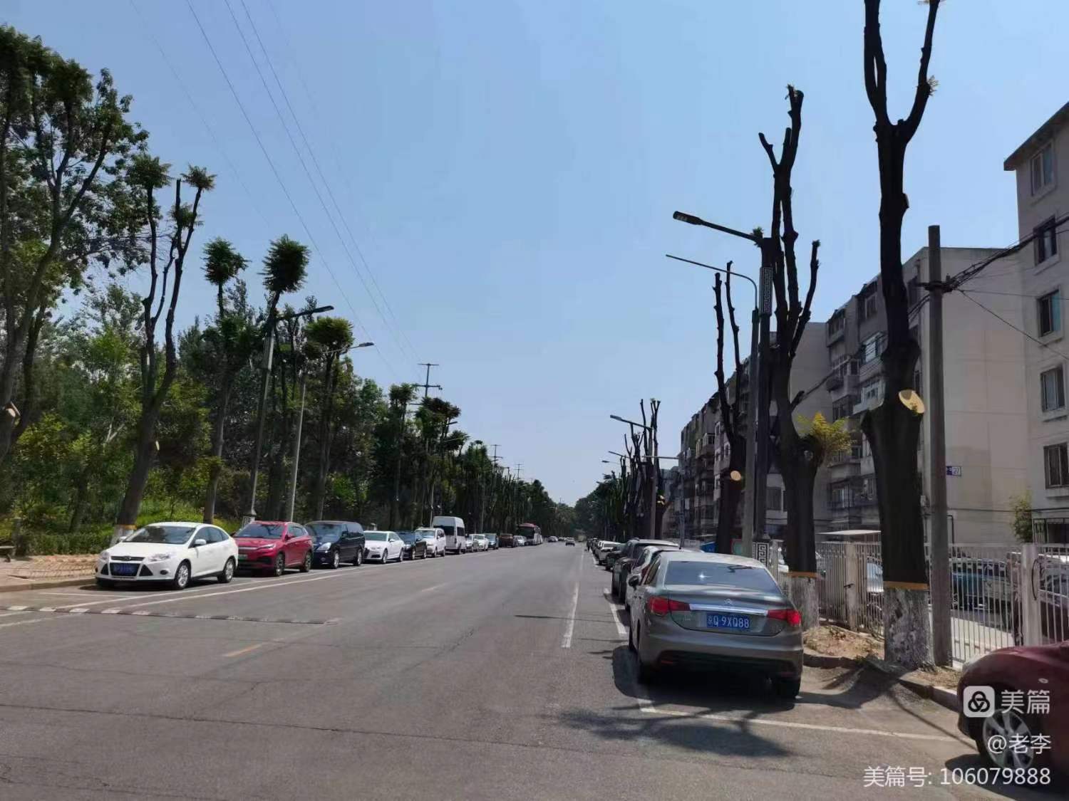 《金鼎》,金鼎诗词