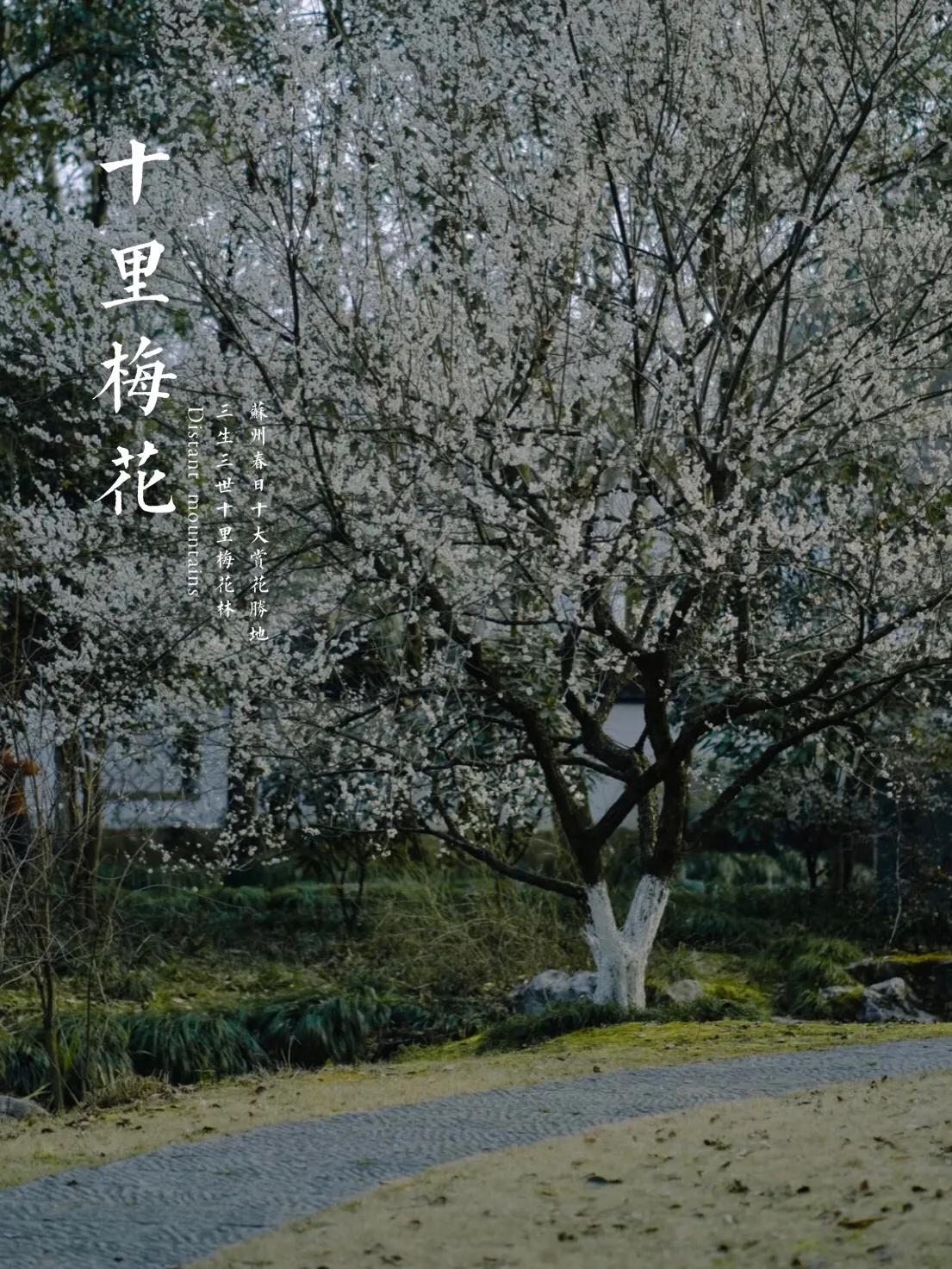 苏州儿童网红打卡地有哪些,苏州网红打卡地先后顺序